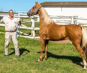Fotografieklub geniet Mierkraal
